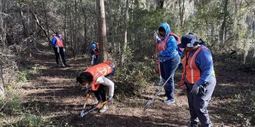 National Park Service Grants Free Access on Trump's Birthday—And Ends It for Juneteenth, MLK Day | Common Dreams
